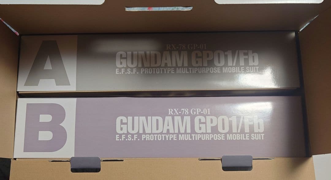 【未組立】PG RX-78ガンダムGP01/FB