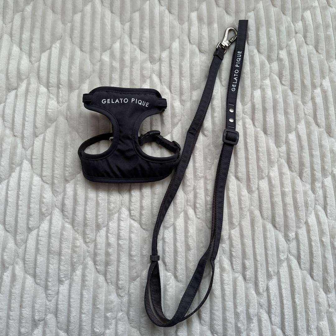 GELATO PIQUEハーネス&リードセットSサイズ