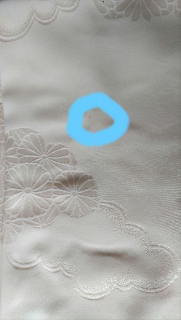 ★紅型振袖/帯/帯揚/帯締/伊達襟/５点セット★おまけ付