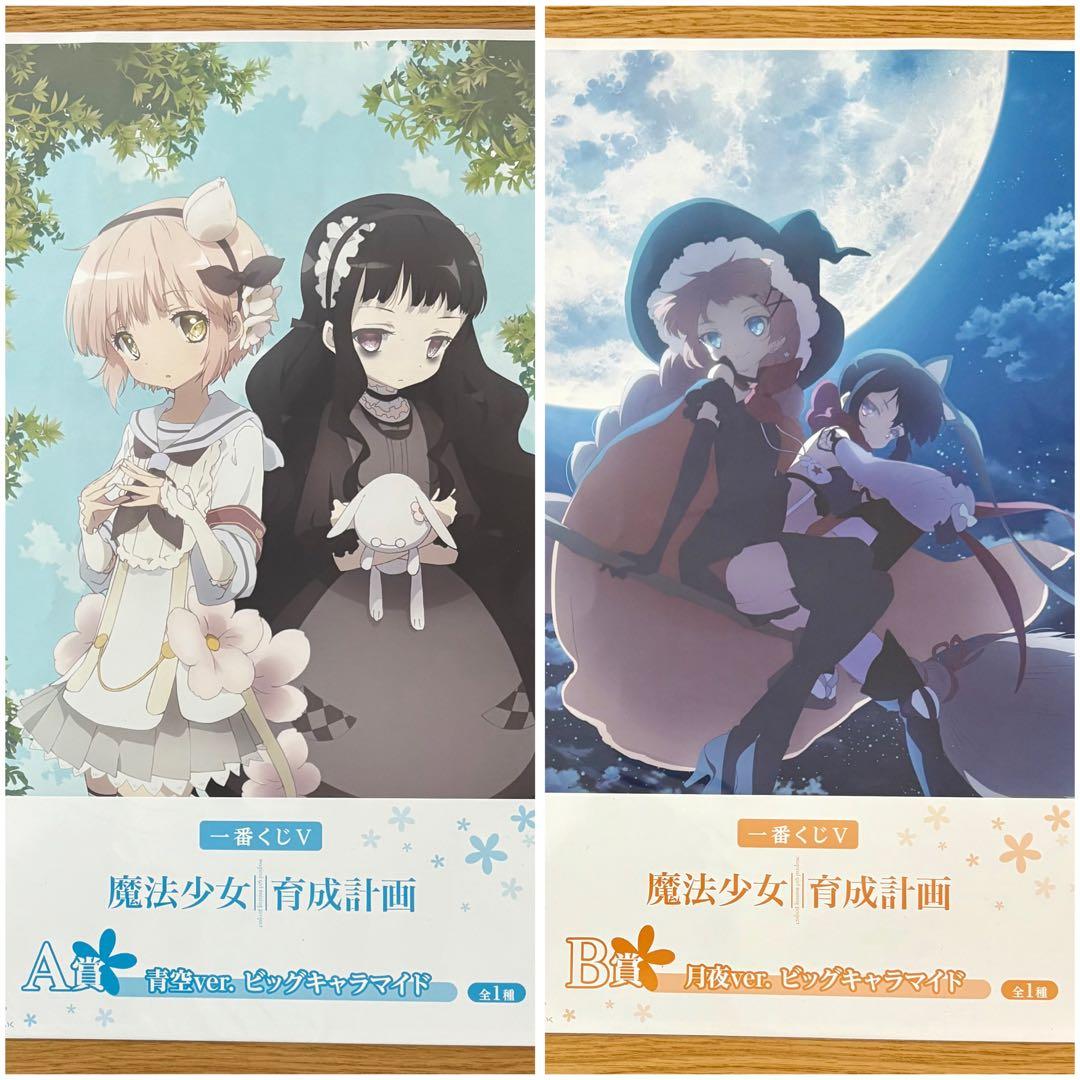 【希少】　一番くじＶ 魔法少女育成計画　A賞　B賞 スノーホワイト　リップル