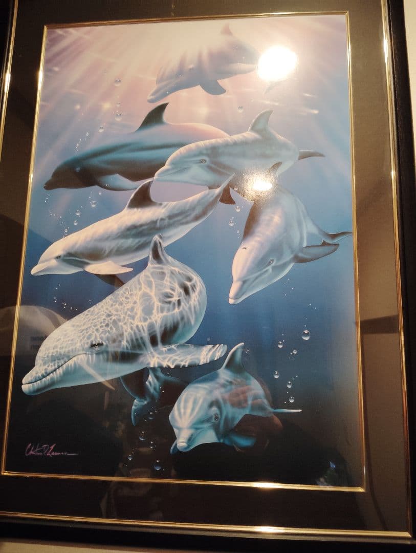 「イルカ」 「Christian Riese Lassen