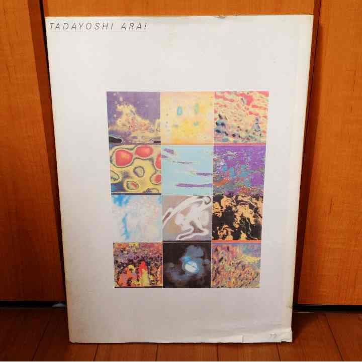 TADAYOSHI ARAI 絵画集