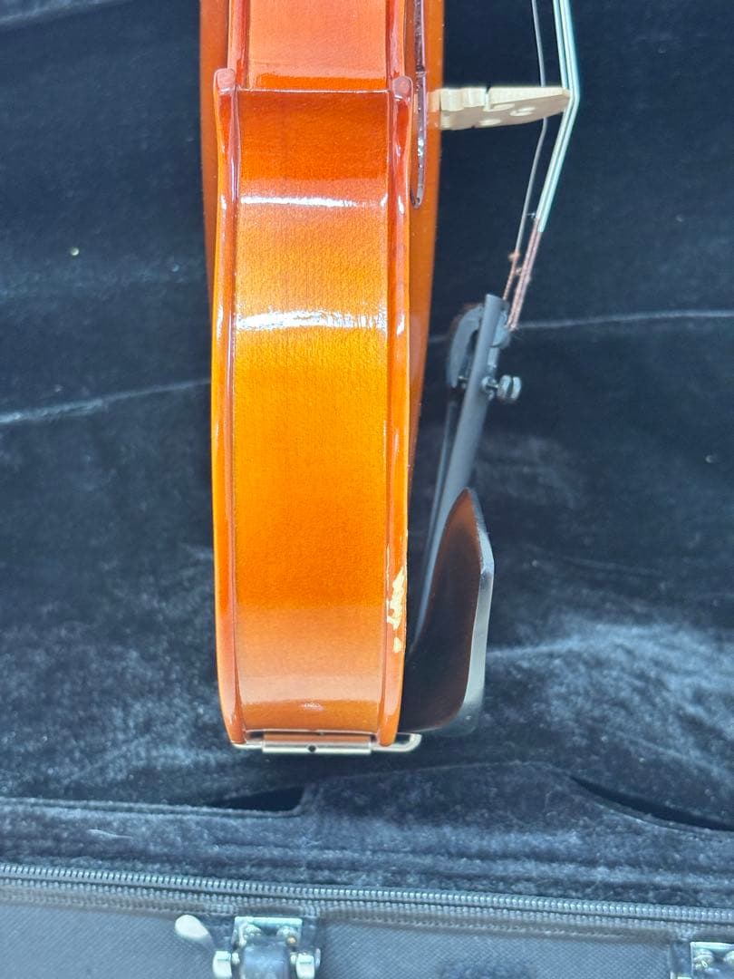 Carlo giordano 4/4 VS-1 2022年製 メンテナンス済み