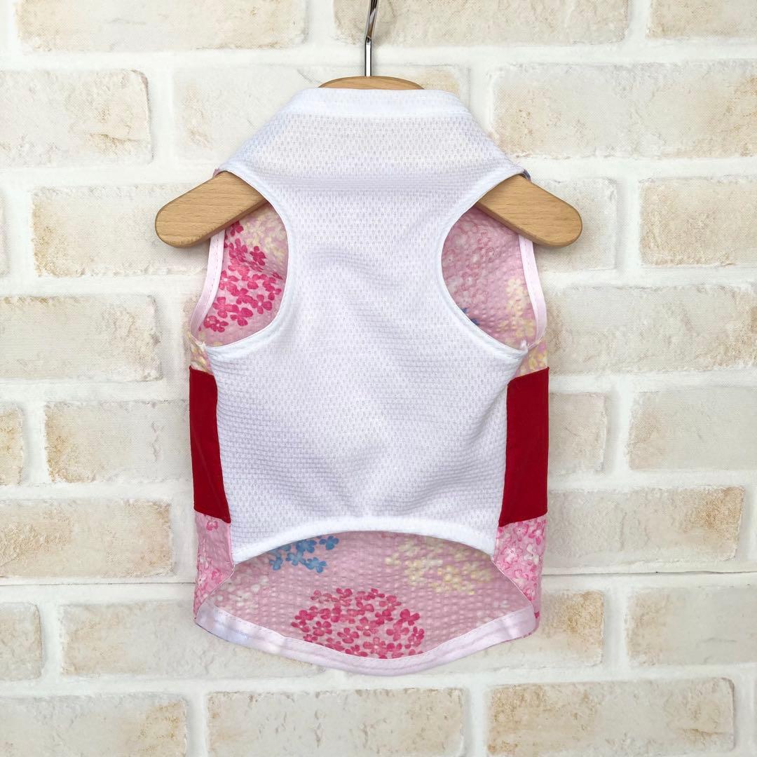 犬服　きのさん