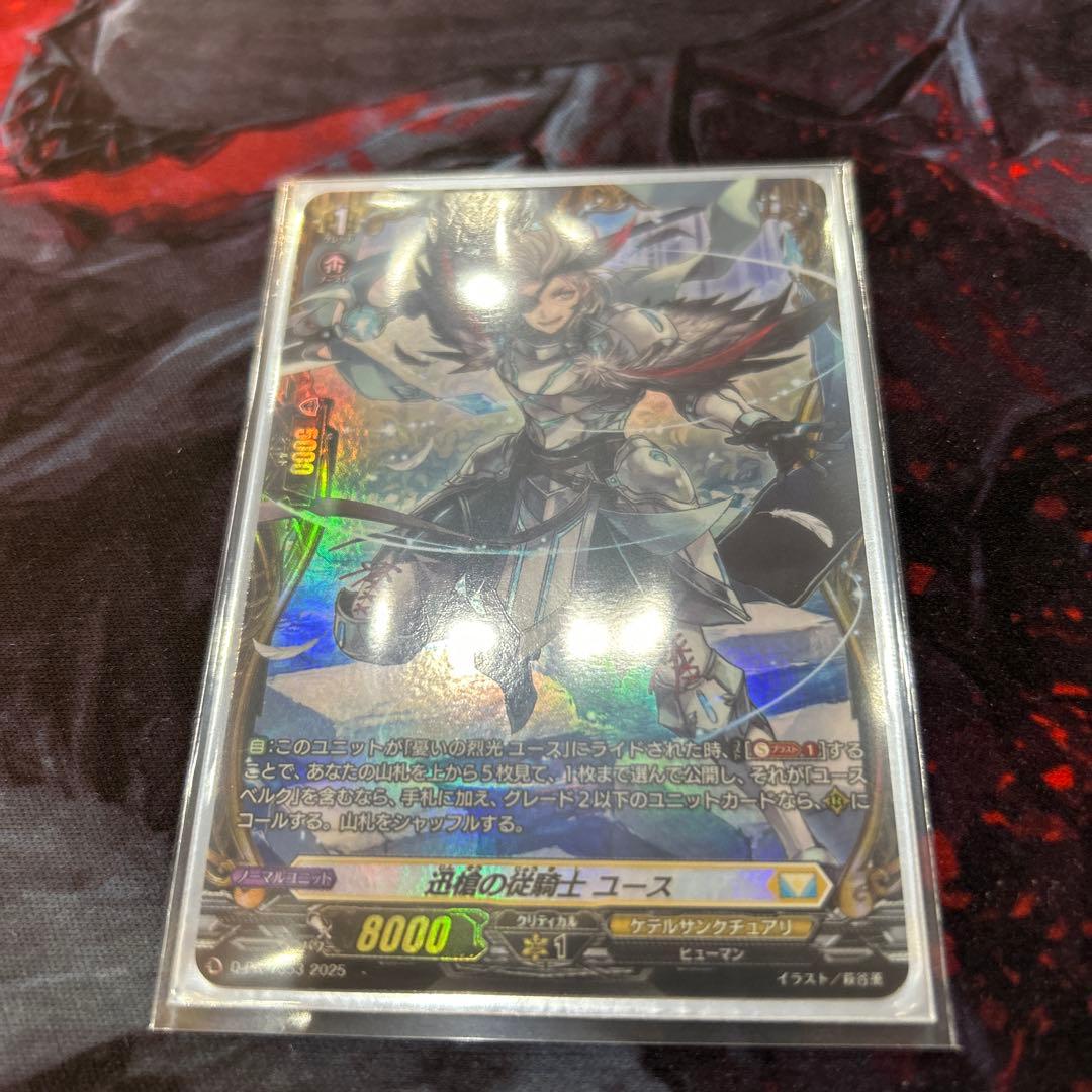 迅槍の従騎士　ユース　fr