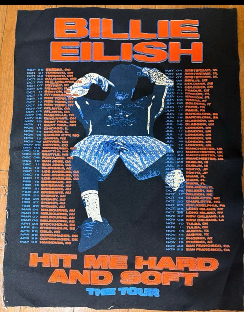 Billie Eilish ビリー アイリッシュ ポスター tour
