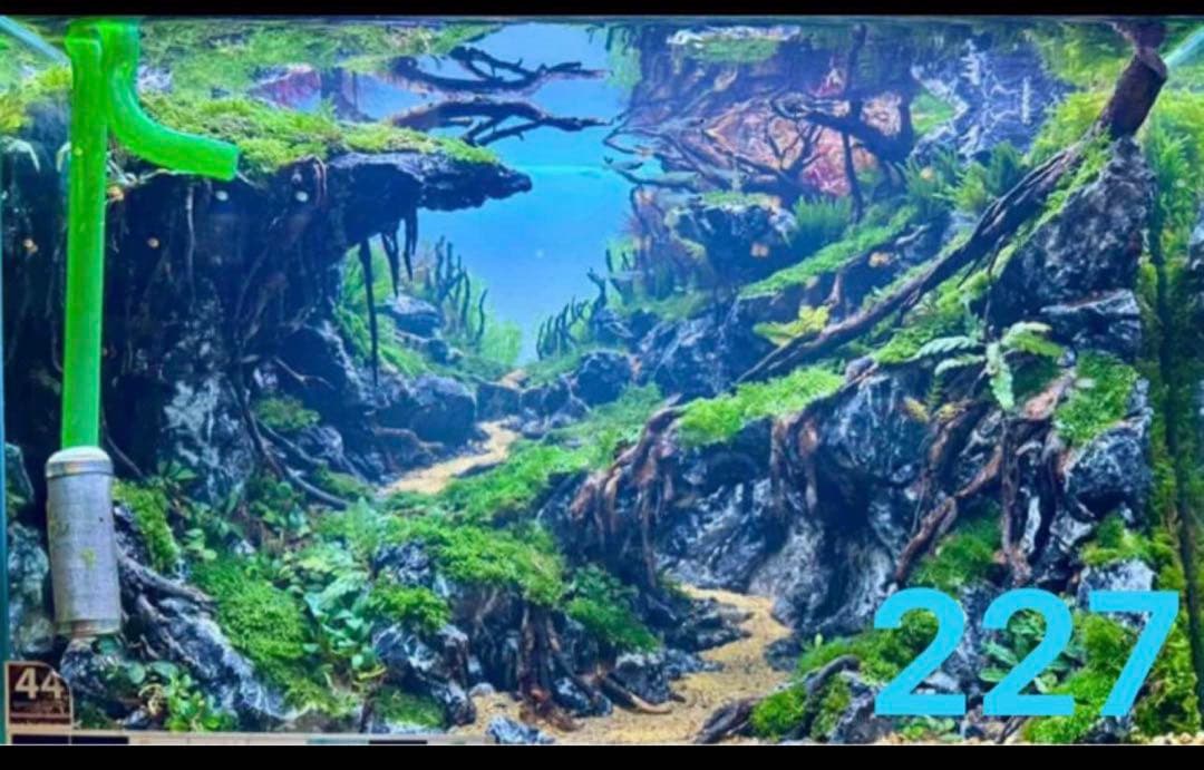 TTD 22760【⭐︎おいおいさま⭐︎】【美品・数量限定】