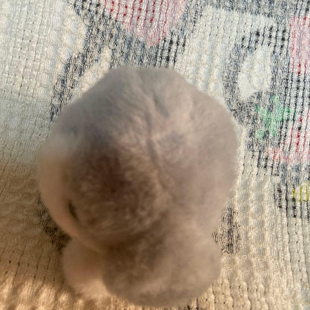 レトロ　サンアロー　ちいさな犬＆熊　ぬいぐるみ　中古品　日本製