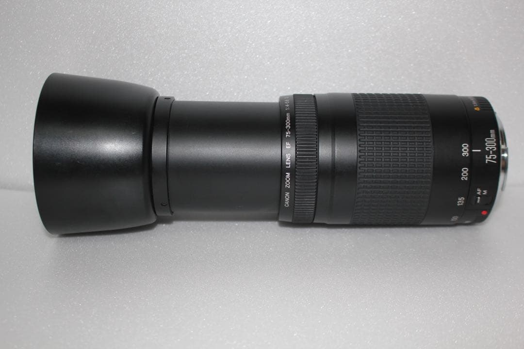 イベント/望遠レンズ/美品/スポーツ/Canon EF75-300㎜
