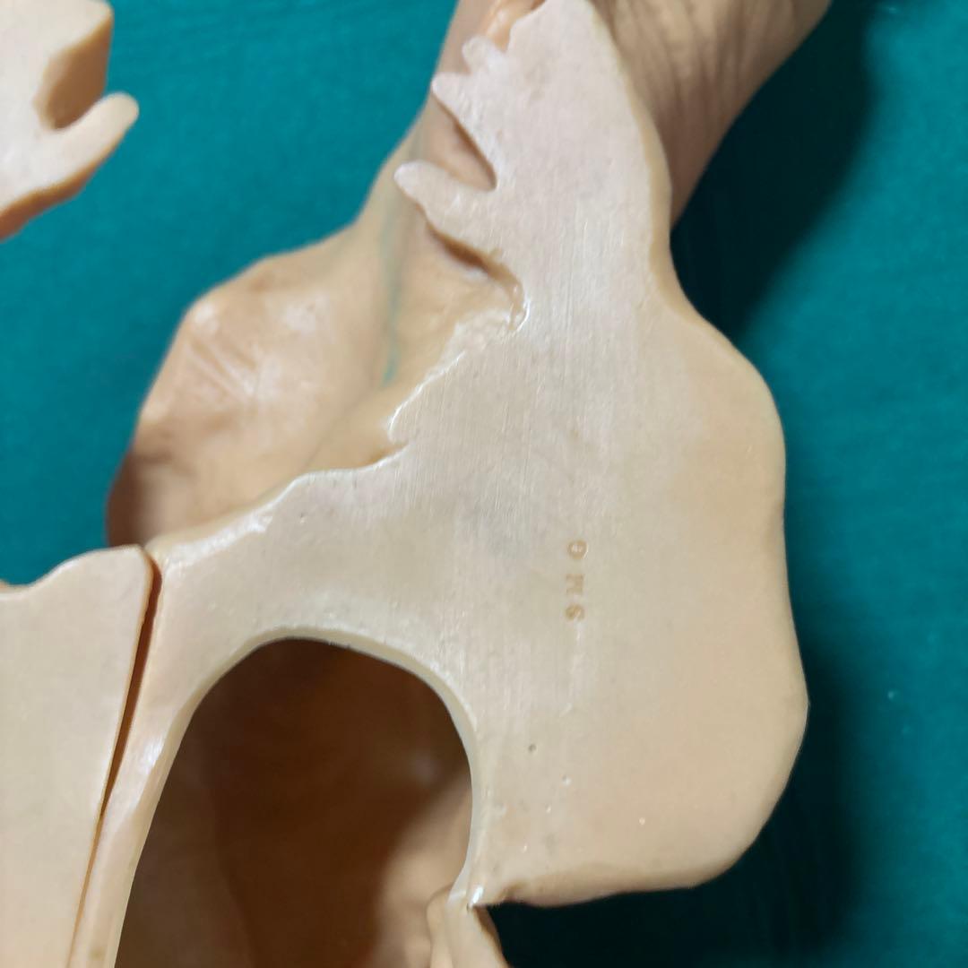 スクリーミングマッドジョージ foot dog 足犬 ソフビ