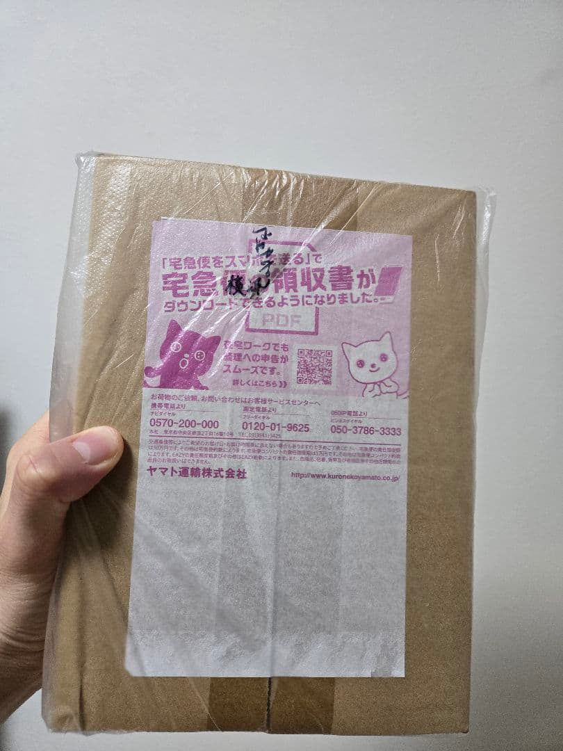 完全未開封　横浜記念デッキピカチュウ2023