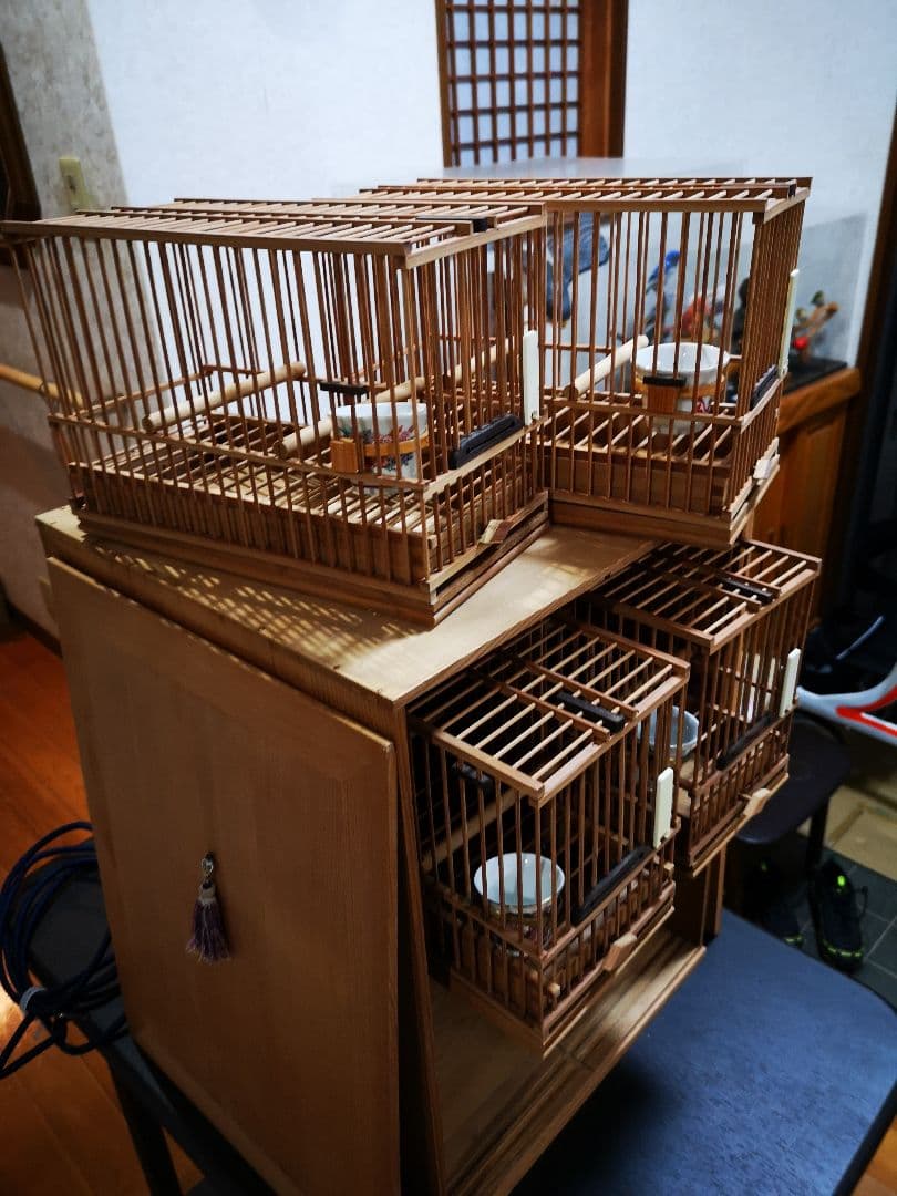 【3日間限定値下げ中】　メジロ籠/ホオジロ籠&寝かせ籠《高級品/職人籠》