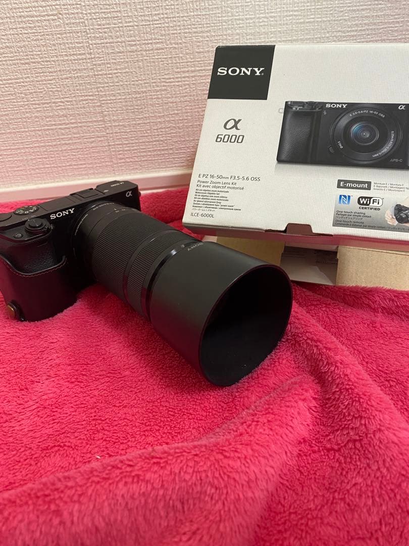 SONY α6000 E 18-200mm レンズ付き