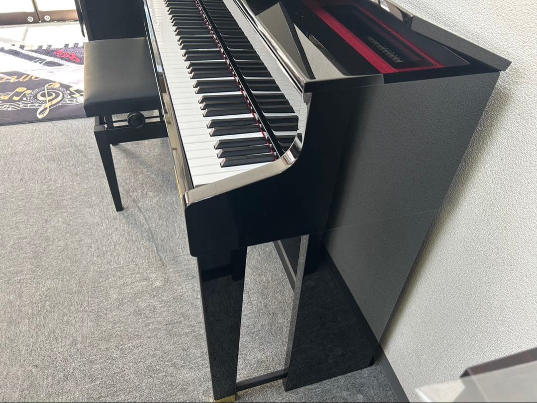 【2025年製】極美品 CASIO GP-1000 島村楽器限定 ハイブリッド