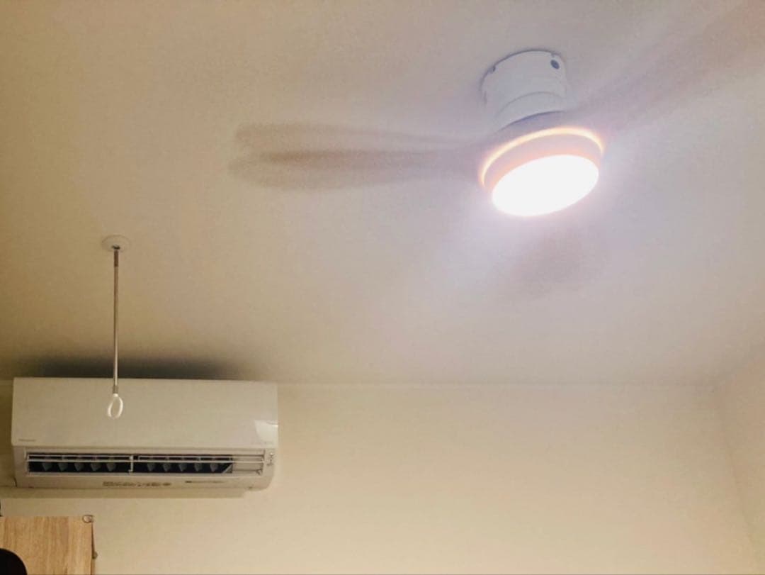 LOWYA【ロウヤ】NewJabalia2 シーリングファンライト