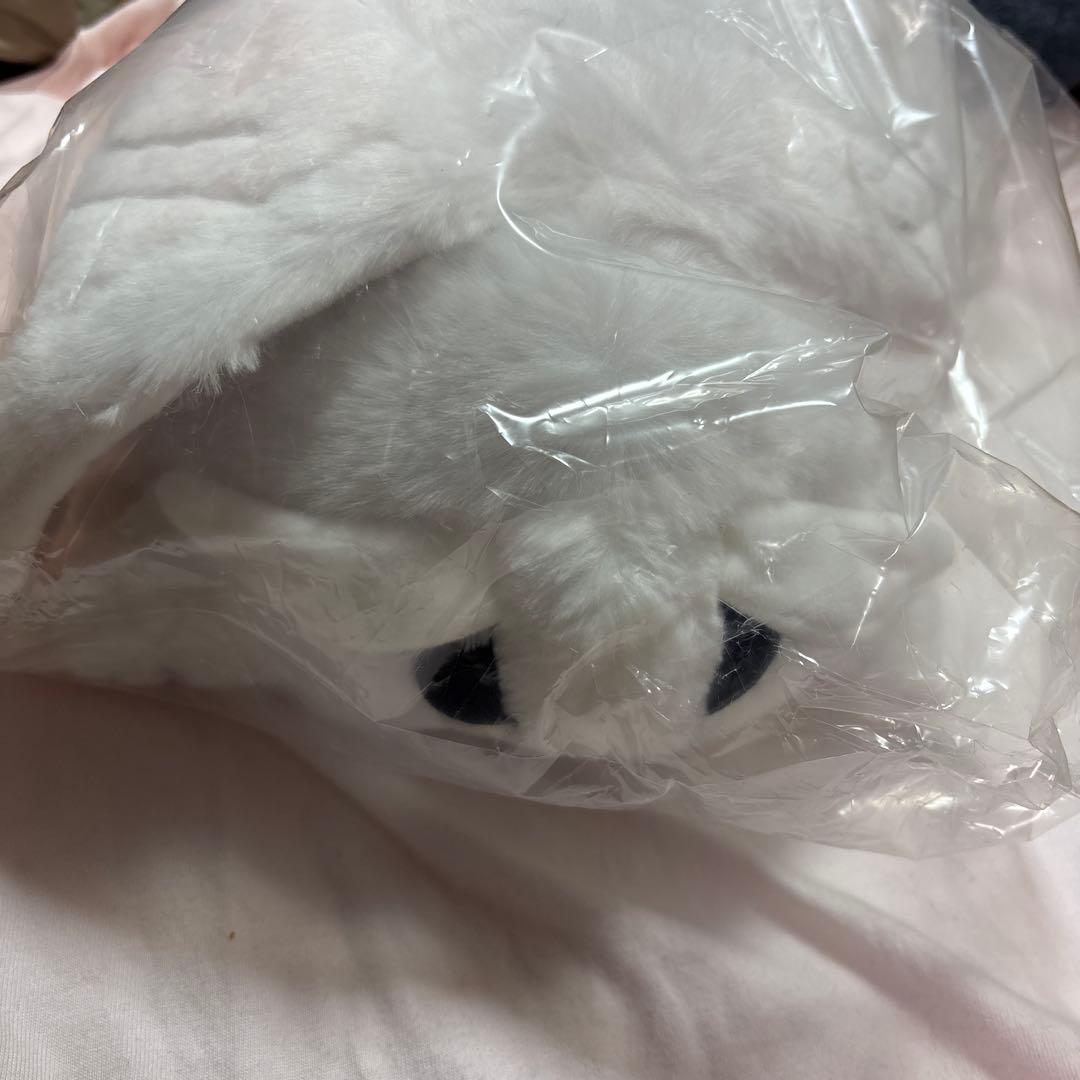 モスのいる日常のモス