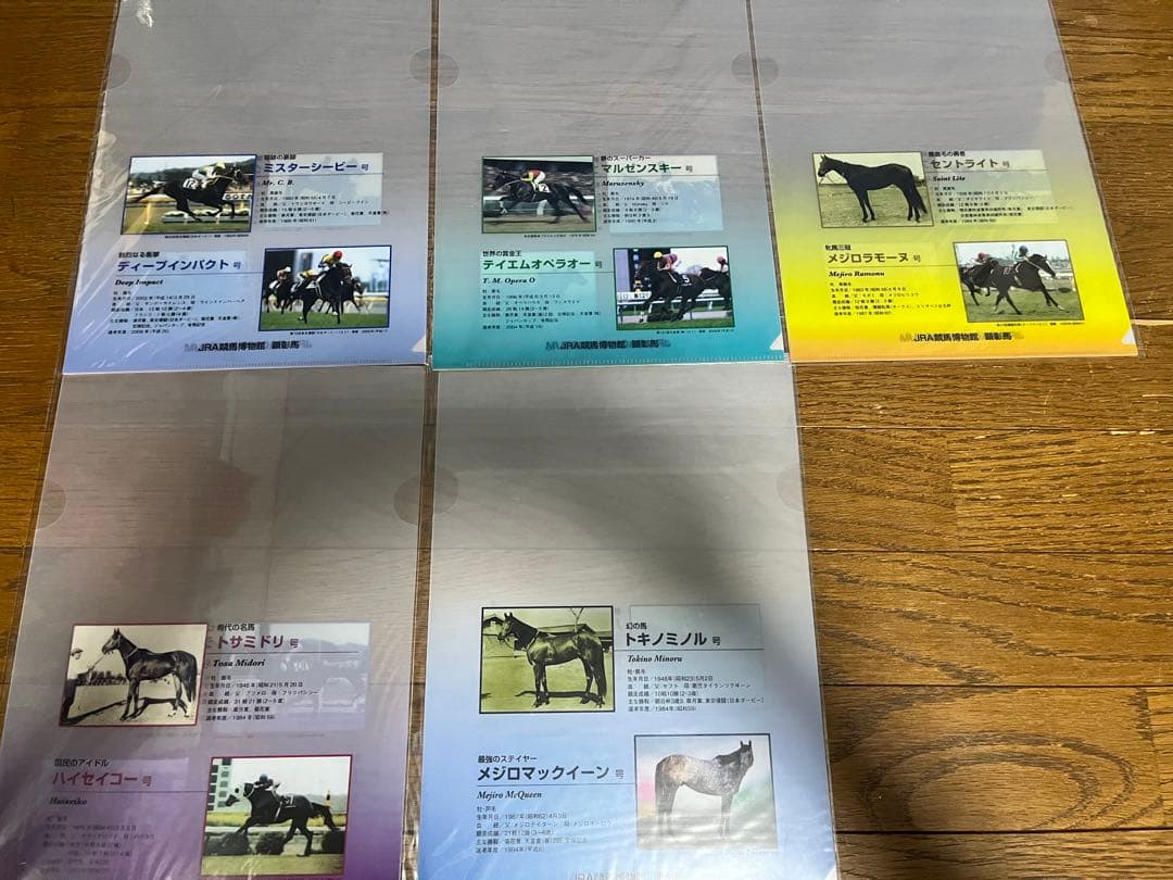 競馬グッズ　JRAクリアファイル　28枚　競馬　JRA