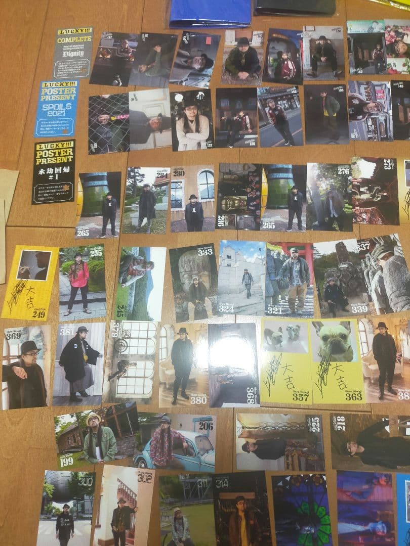 上杉昇　WANDS　コレクタブルカード　セット　ファイル