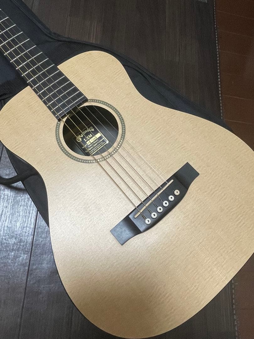 Martin & Co. アコースティックギター