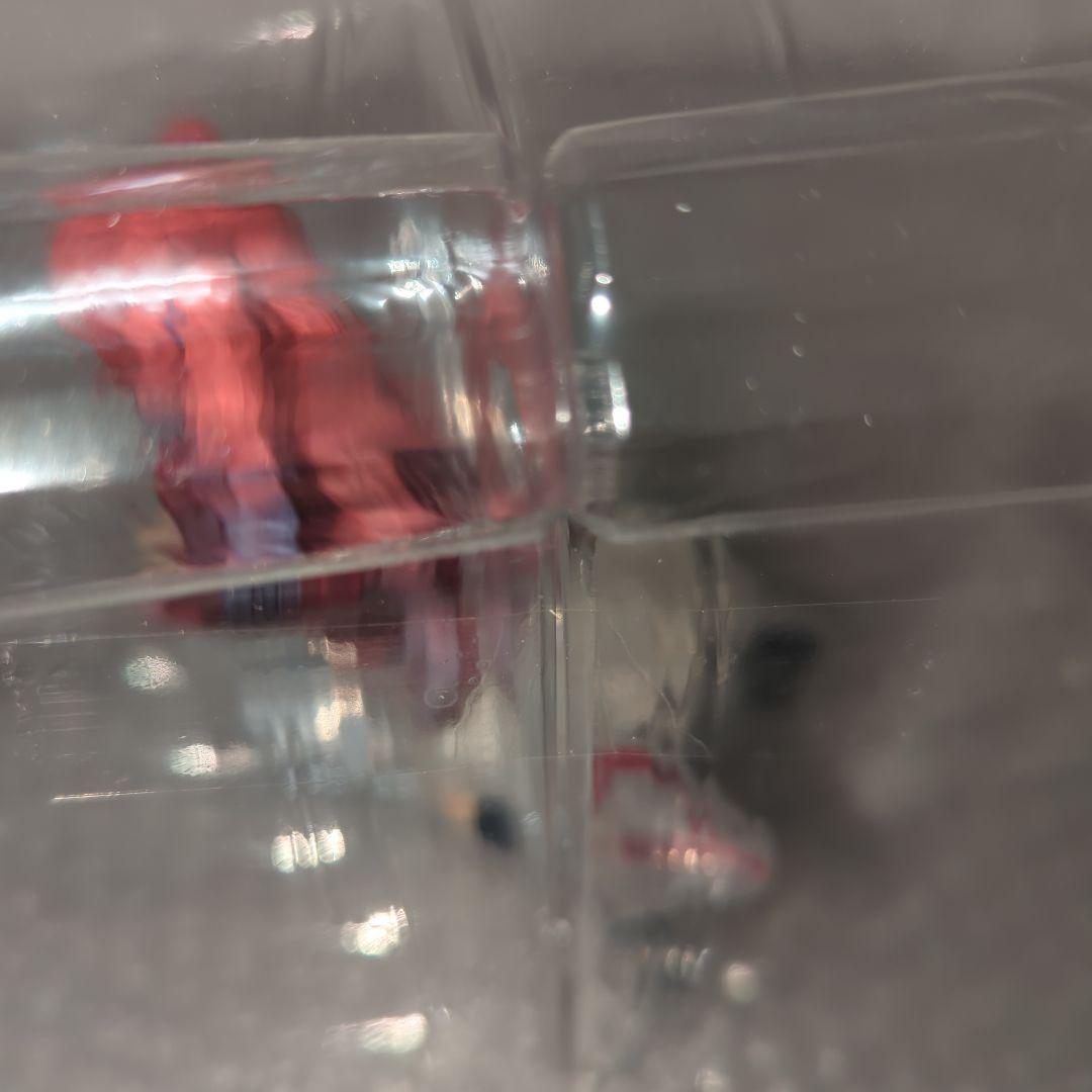 〚希少・未使用〛佐倉愛里 お着替え中Ver. 1/7 フィギュア よう実