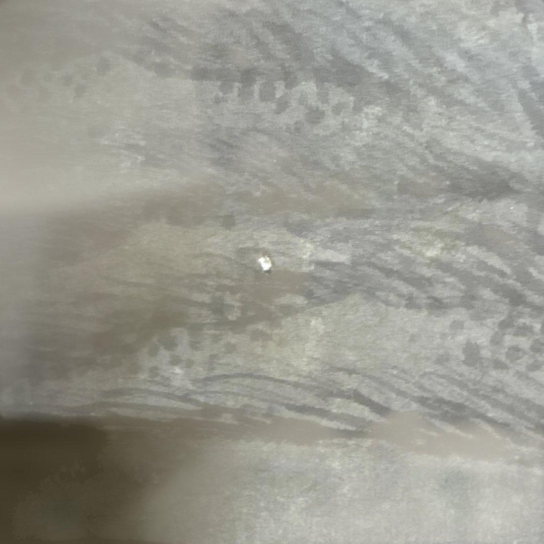 中国　山水画　掛け軸