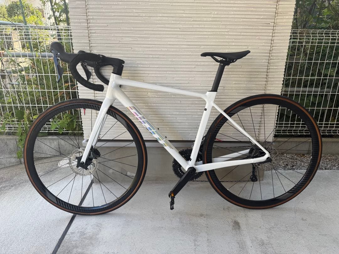 GIANT 「ジャイアント」 GJ-35 LTD 2025年 Sサイズ