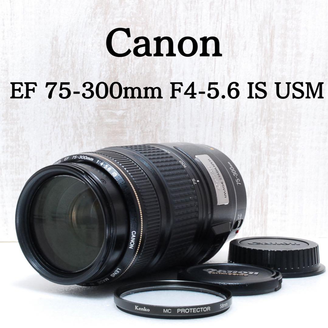 ❤️美品❤️Canon EF 75-300mm IS USM❤️超望遠❤️