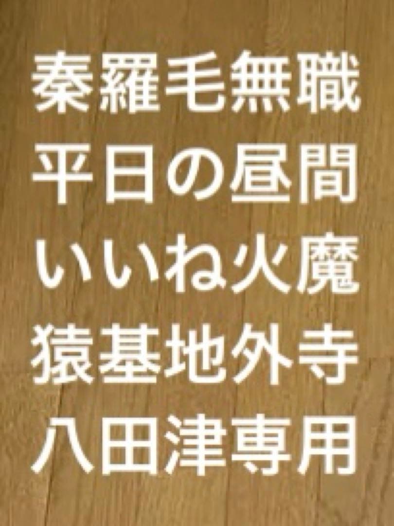 TOMIX マイプラン DX II (F) 90946 Nゲージ