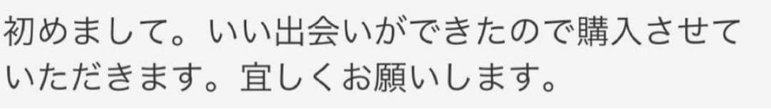 切れ味抜群プロ仕様✨ハサミ☆カットシザートリマーはさみサロンシザー