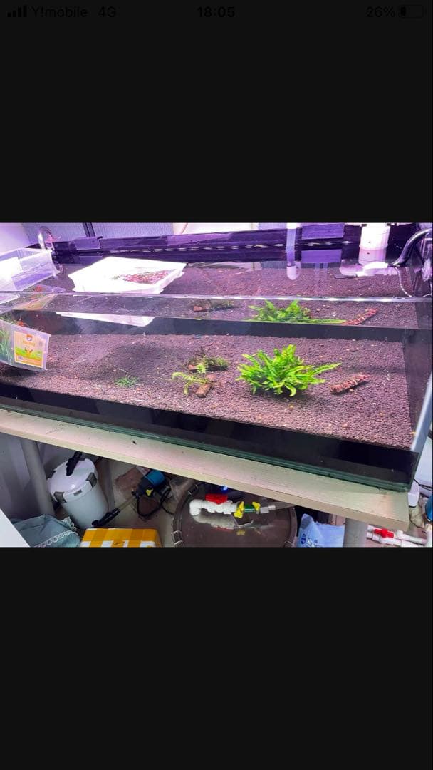 20Lろ材水質浄化抜群濾過フィルター自社製高品質セラミックリング送料込み即時発送