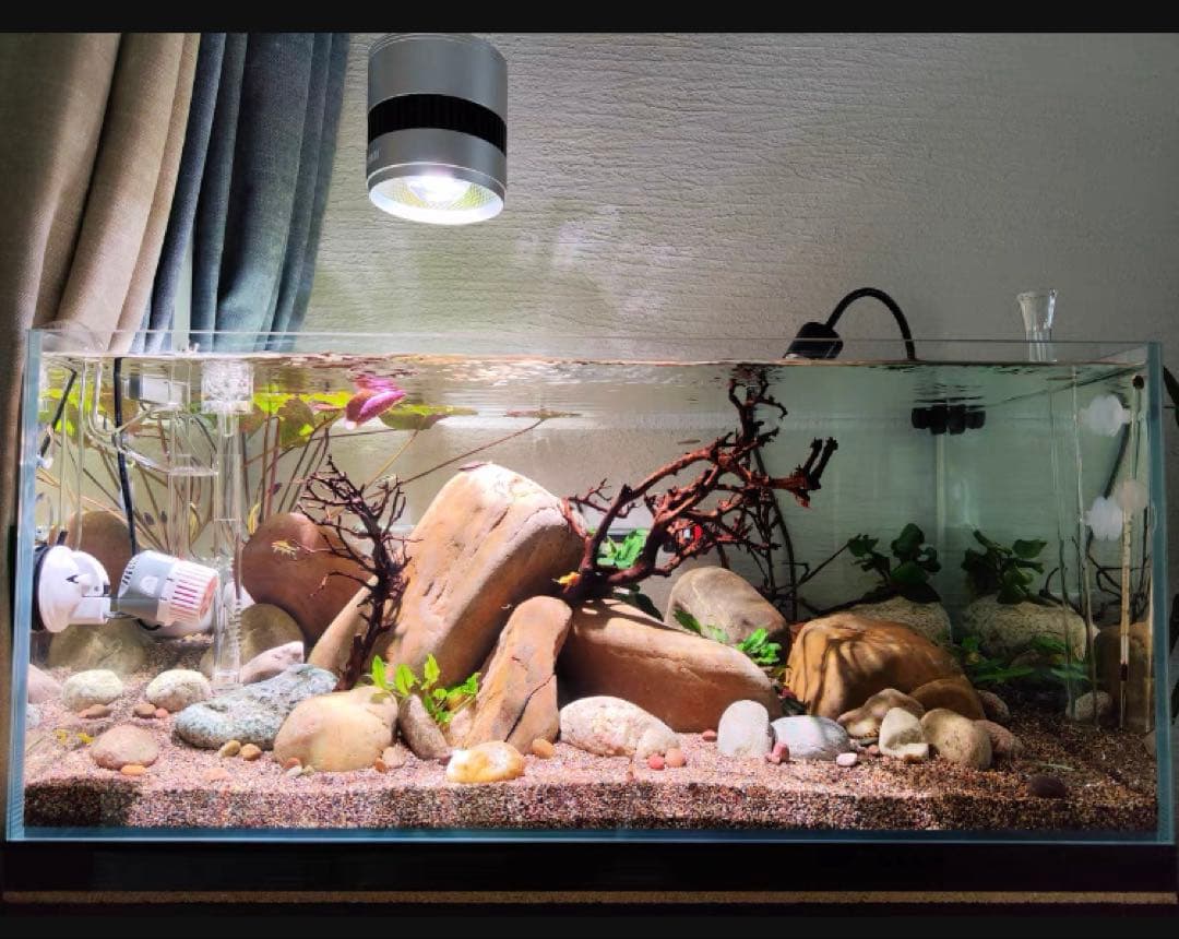 20Lろ材水質浄化抜群濾過フィルター自社製高品質セラミックリング送料込み即時発送