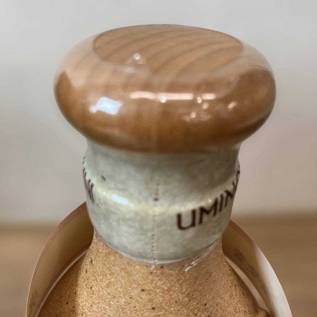 未開栓 泡盛 海乃邦 10年古酒2本セット720ml