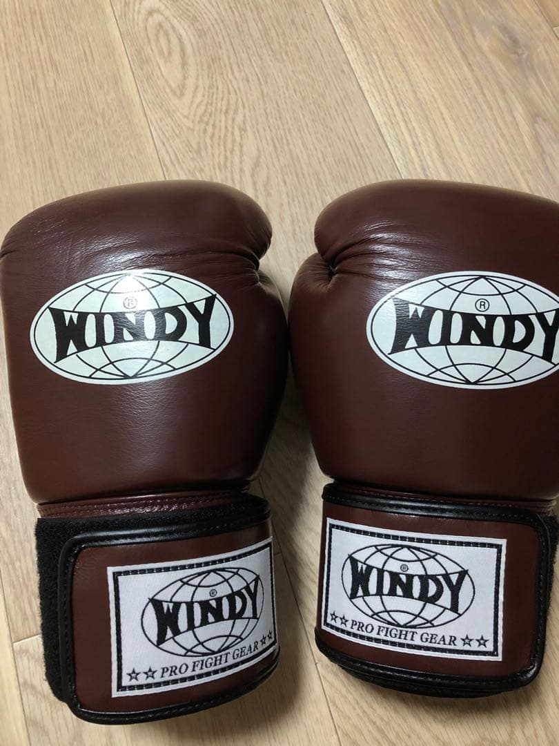WINDY ボクシンググローブ 14 OZ BGVH