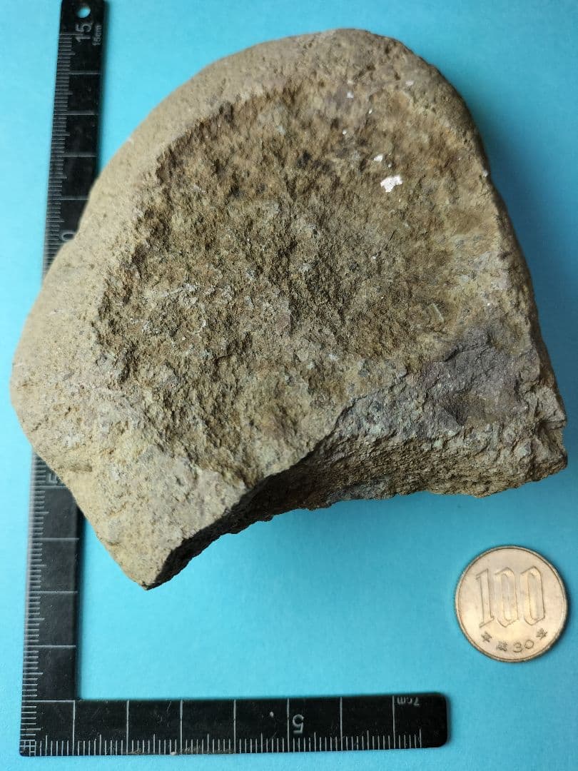 抉り入り磨製石斧? (出土品) 縄文時代前期 ? 約12㌢×9㌢×2㌢です。