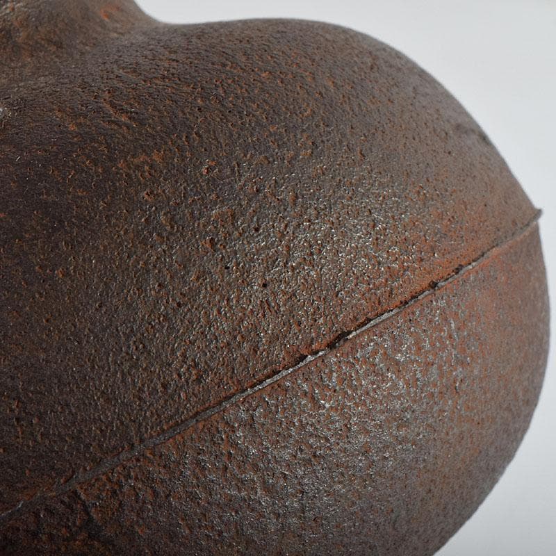 煎茶道具　釜師　菊池政光作　鉄瓶　共箱　D　R9449H