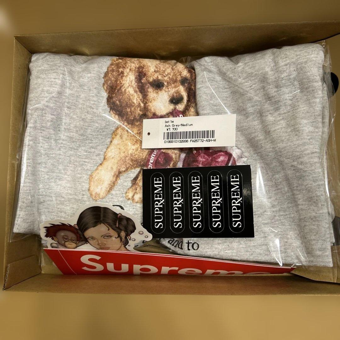 supreme dust tee Ash gray Mサイズ