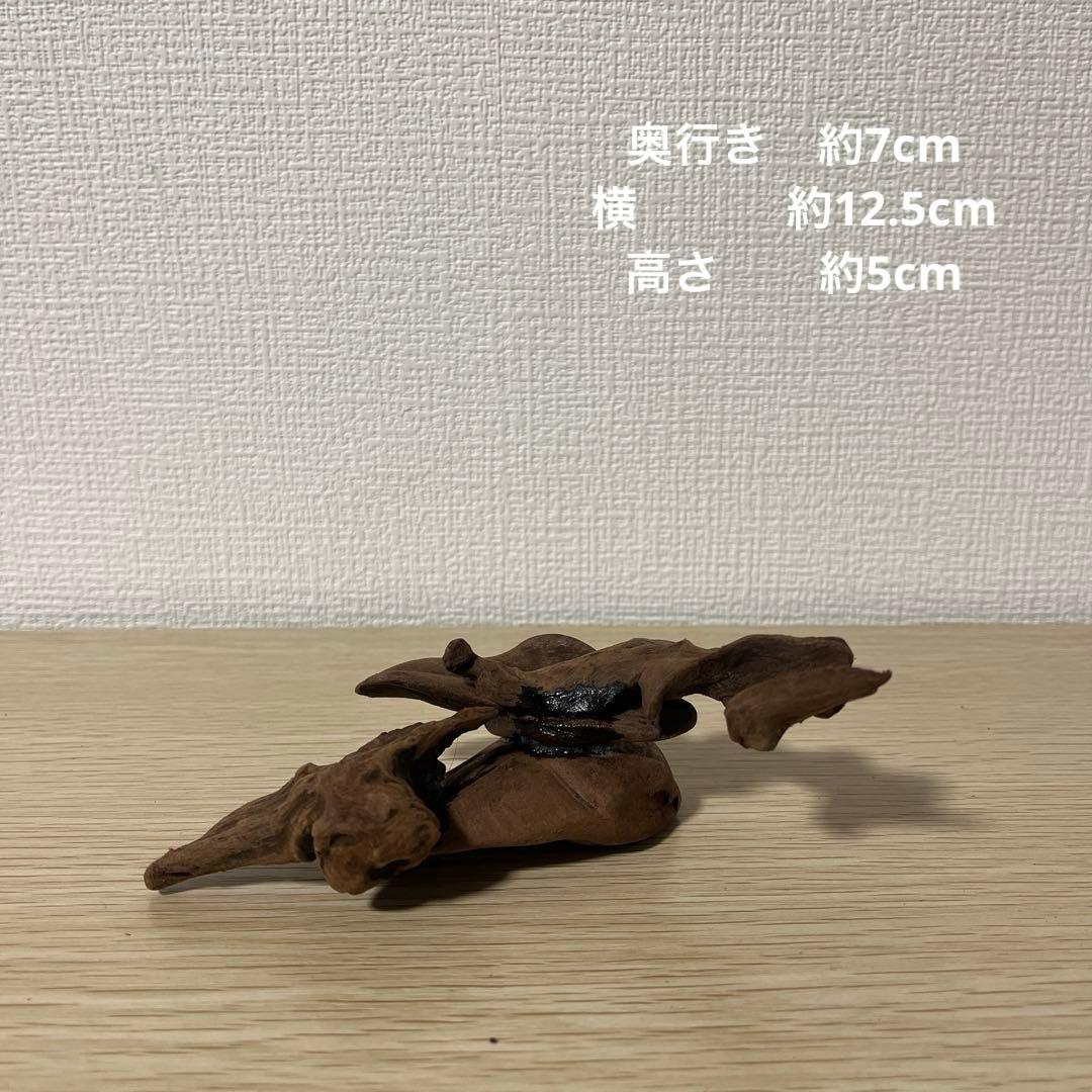 一点もの マングローブ９点まとめ売り✨レイアウト アクアリウム イモリウム 流木