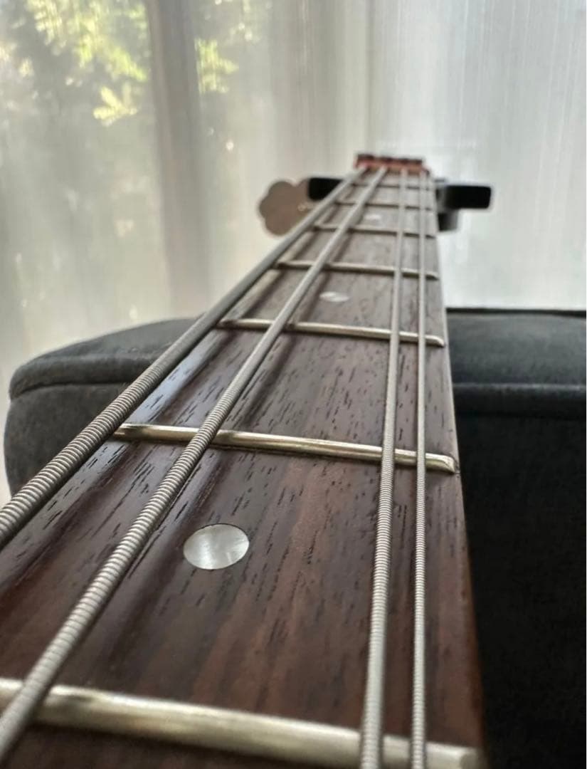 サンダーバード　ベース　ハードケース付き