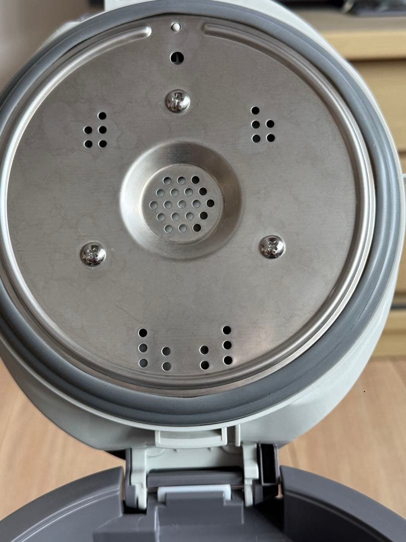 2024年製　象印 スチーム式加湿器 グレー　EE-DE50