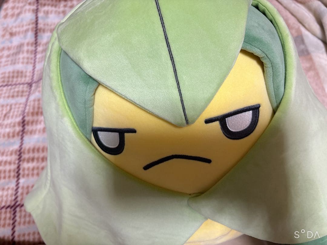 ポケモン もっちりっち クルマユ