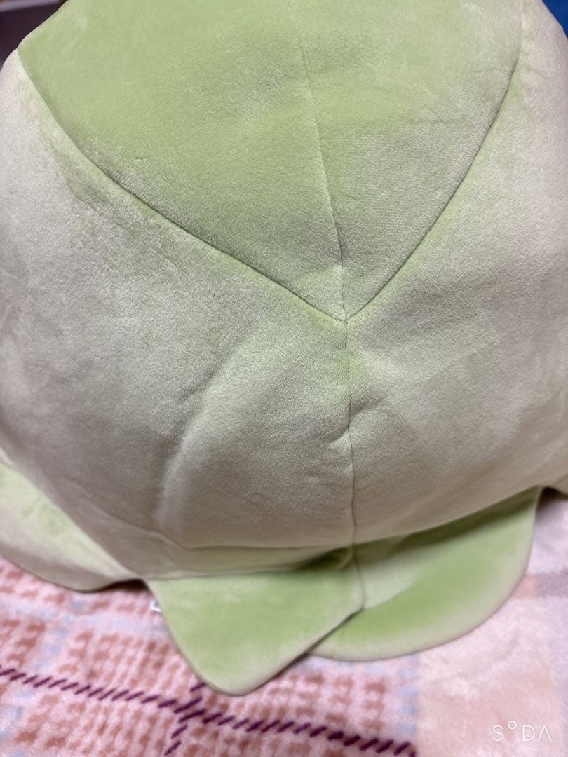 ポケモン もっちりっち クルマユ