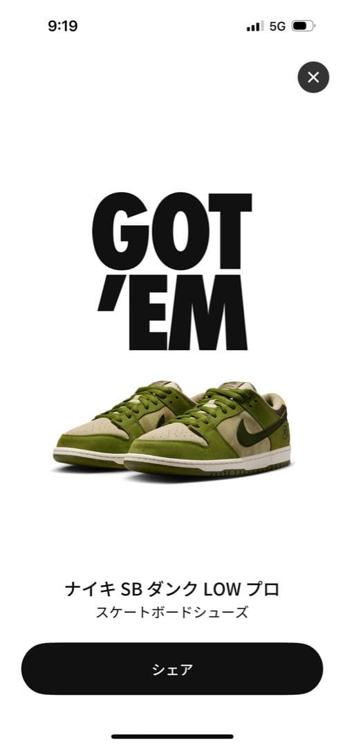 スケートボード Nike SB Dunk Low \"Matcha\" Yuto Horigome