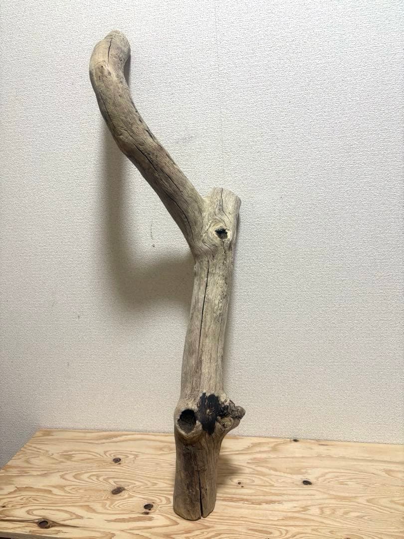 Ｇ39 流木　爬虫類　両生類　小動物シェルター　DIY ハンドメイド　観葉植物