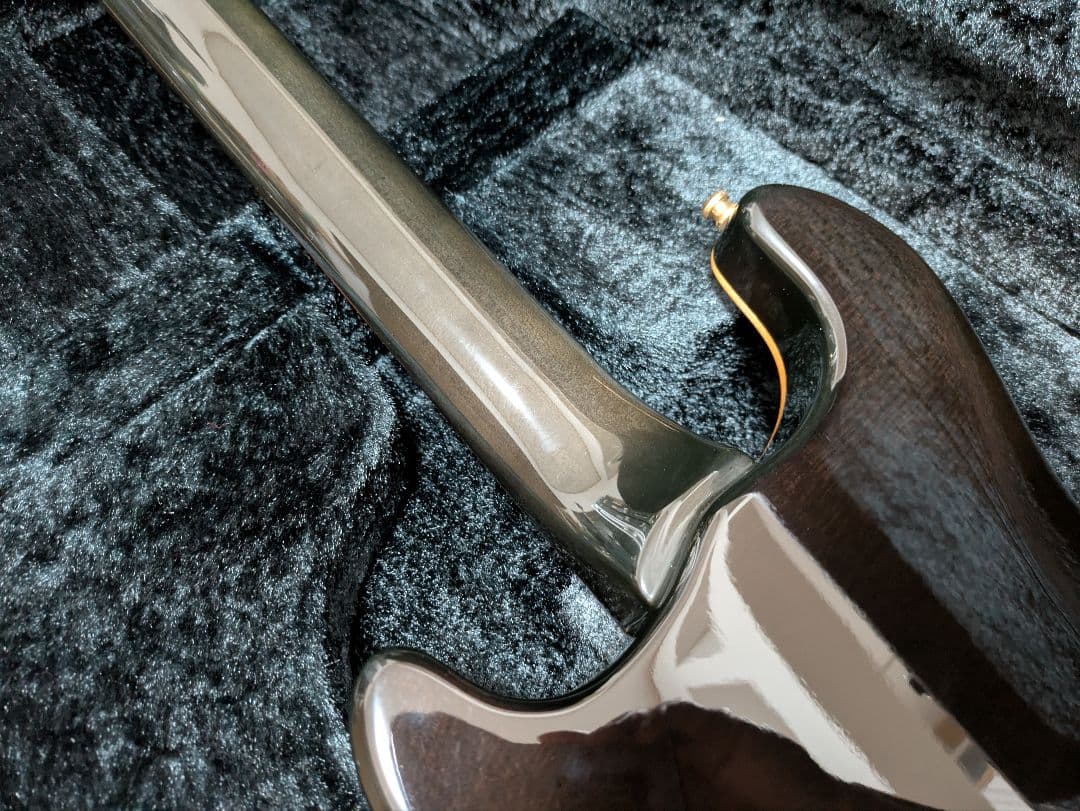 FERNANDES APG 100 24F仕様