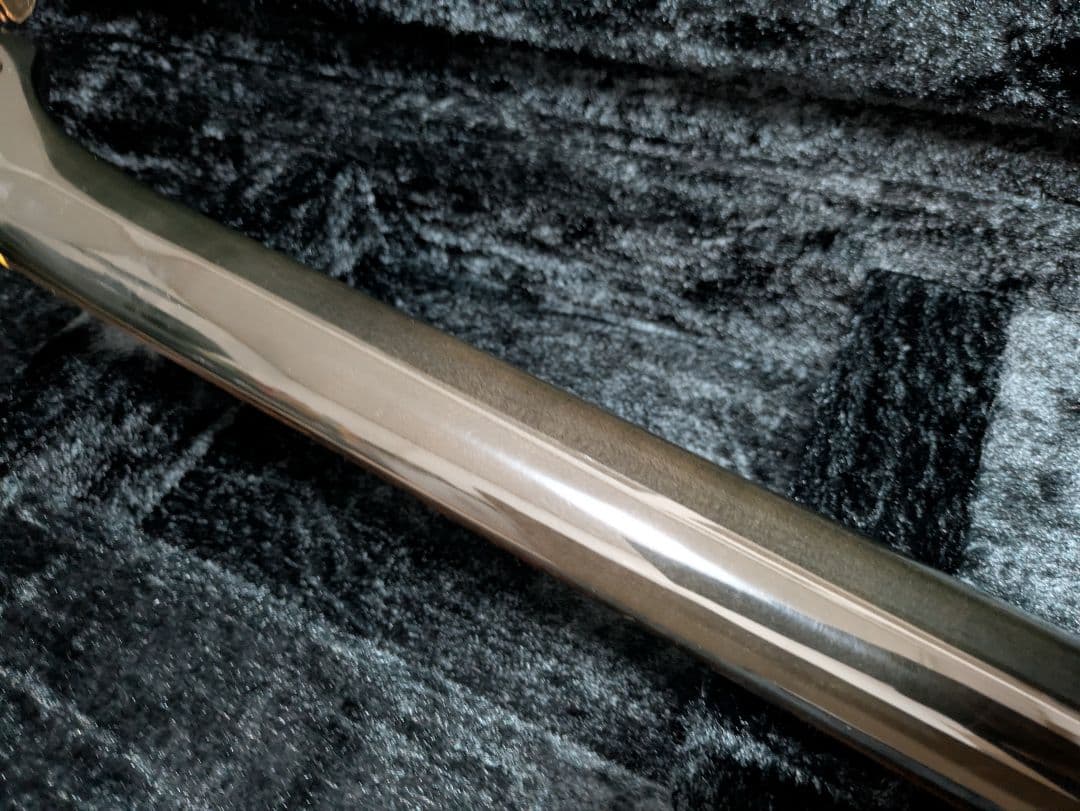 FERNANDES APG 100 24F仕様