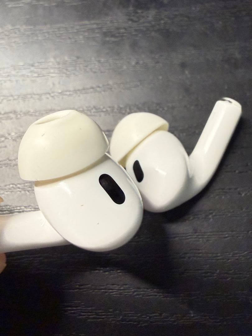 AirPods Pro 第二世代(Lightning端子モデル)