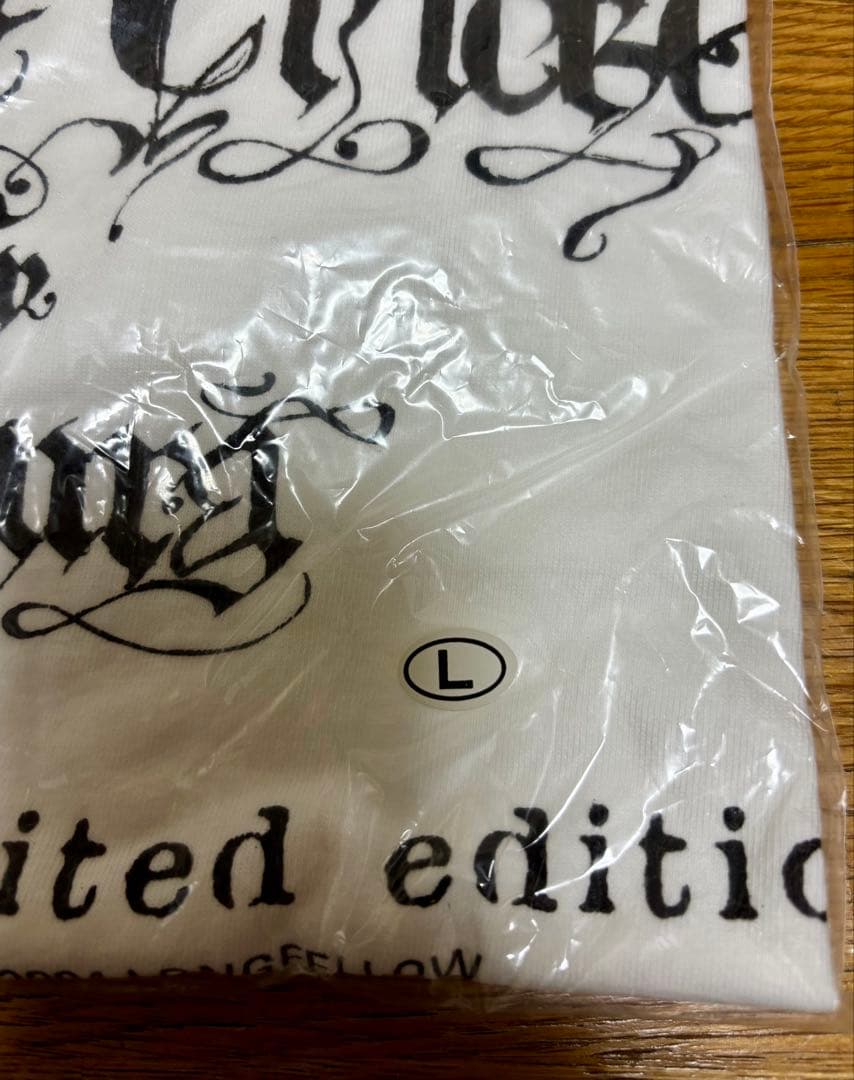 BUMP OF CHICKEN 2004年 佐倉フリーライブT ★希少★