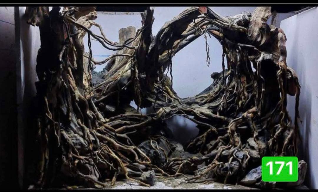 TTD 【⭐︎ しょーま様⭐︎】【美品・数量限定】