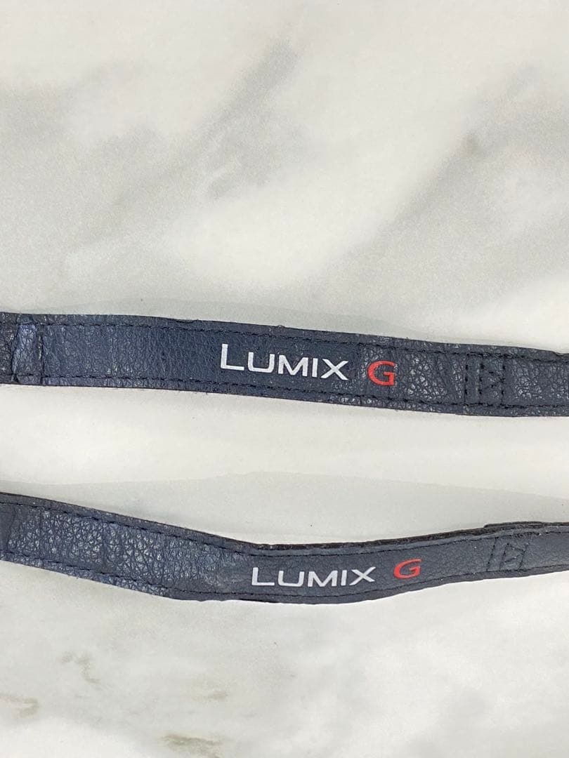 #LUMIX DMC-GF7W ブラウン