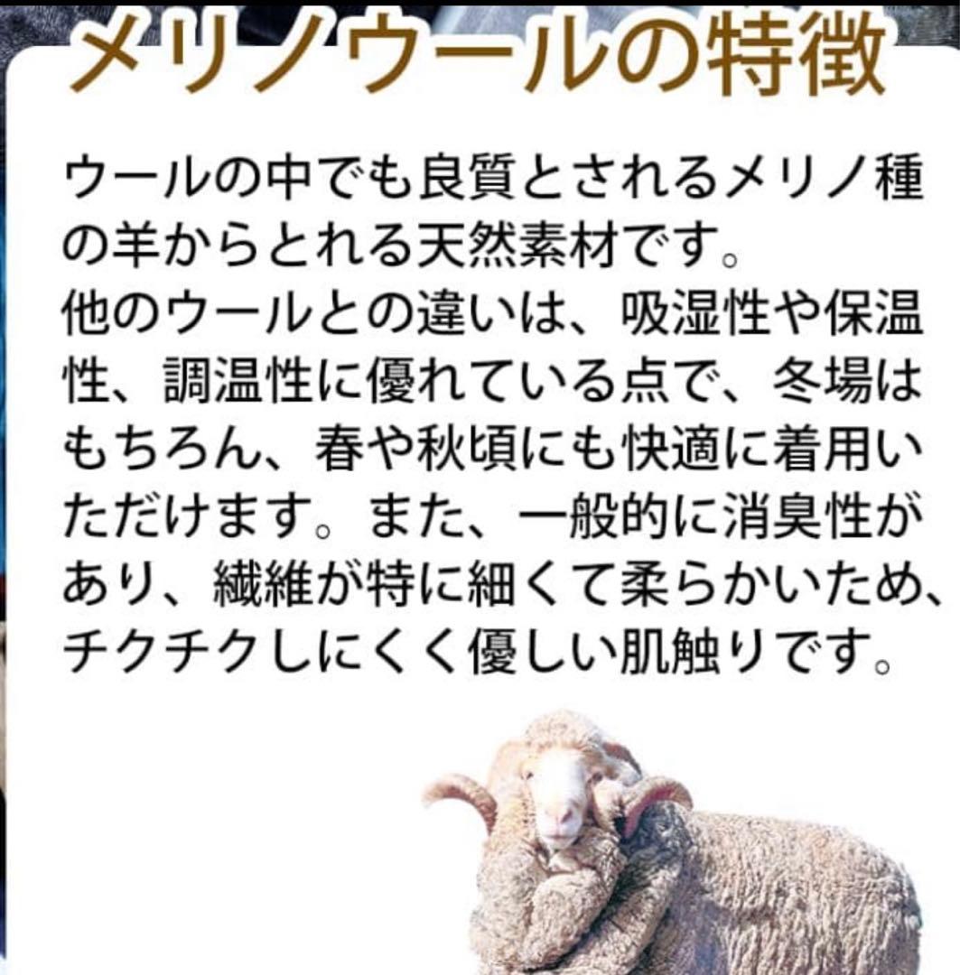 ワークマン メリノウール 100% Lサイズ　6枚セット　美品　ハズム　なかむ